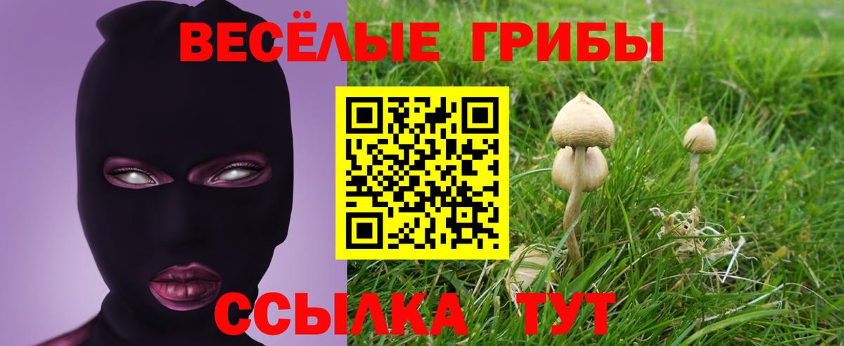Псилоцибиновые грибы прущие грибы Кирово-Чепецк